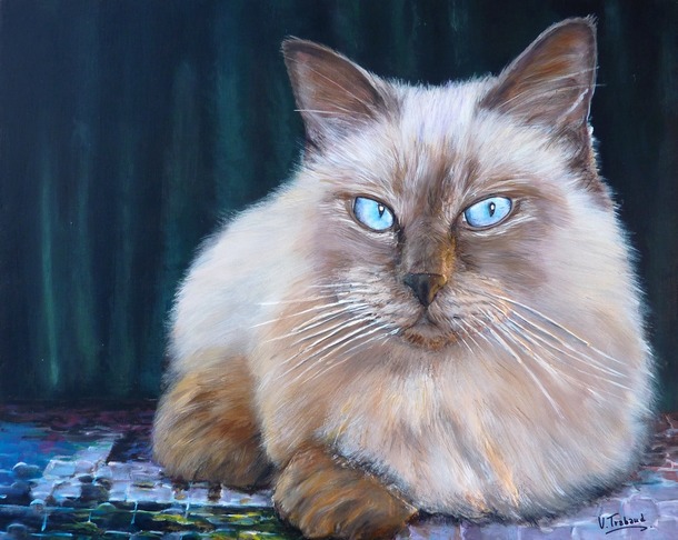 Peinture Chat Radgoll aux yeux bleus sur un puzzle - Acrylique et mortier en relief Virginie TRABAUD Artiste peintre