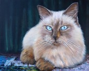 Peinture en Relief 3D - Chat Radgoll Blue Point Puzzle - Virginie Trabaud Artiste Peintre