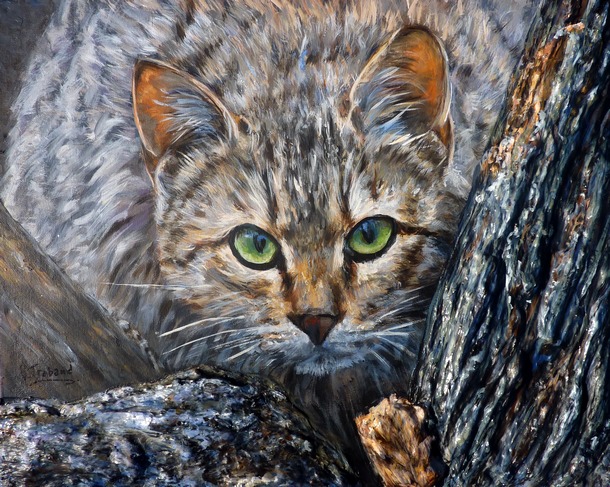 Chat Sauvage - Peinture Acrylique et Sculpture au mortier - Virginie Trabaud Artiste Peintre