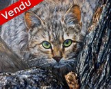 Chat Sauvage - Peinture en Relief - Virginie Trabaud