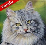 Peinture Chat sibrien portrait - acrylique - Virginie Trabaud Artiste Peintre
