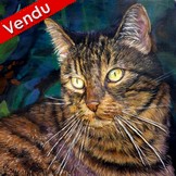 Peinture en Relief 3D - Portrait de chat tigr caline - Virginie Trabaud Artiste Peintre