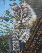 Reprocution du tableau de Peinture Chaton dans l arbre - Artiste Peintre V. TRABAUD