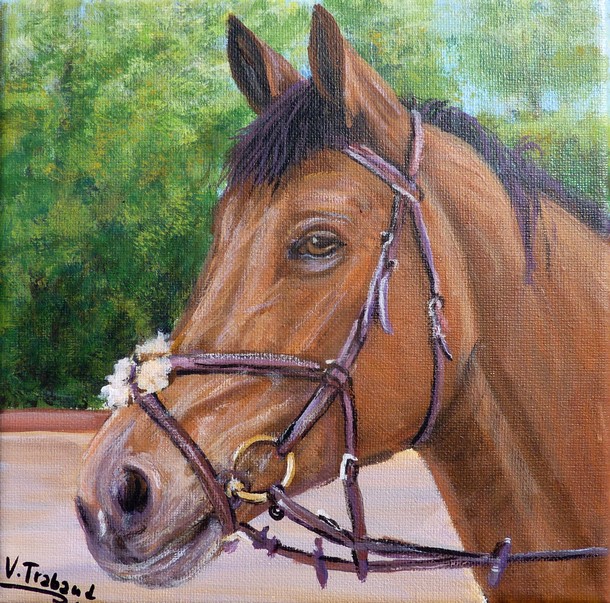 Portrait cheval bai marron crinire noire peinture acrylique - virginie TRABAUD Artiste Peintre