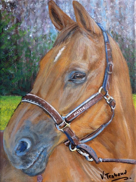 Portrait cheval cuivr portrait peinture acrylique - virginie TRABAUD Artiste Peintre
