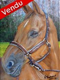 portrait de cheval cuivr en fort - Cliquez sur l image pour voir la fiche dtaille dtaille et consulter le tarif de l oeuvre
