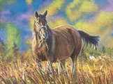 peinture Cheval dans le champ - Virginie Trabaud artiste peintre