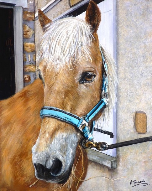 Peinture Portrait de Cheval Haflinger - Acrylique et mortier en relief Virginie TRABAUD Artiste peintre