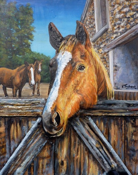 Peinture Portrait de Cheval et chevaux - Virginie Trabaud Artiste Peintre