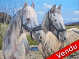 peinture Chevaux blancs campagne - Cliquez sur l image pour voir la fiche dtaille et le tarif de l oeuvre