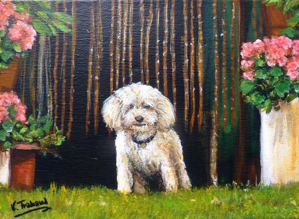 Peinture caniche blanc jardin et granium - acrylique - Virginie TRABAUD