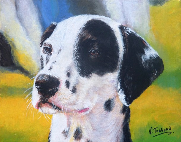 peinture portrait de dalmatien  - Cliquez sur l image pour voir la fiche dtaille dtaille et consulter le tarif de l oeuvre