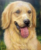 Peinture golden retriever - acrylique et mortier en relief - Cliquez sur l'image pour voir la fiche dtaille