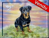 Peinture acrylique - Chien Rottweiller et colombe - Cliquez sur l'image pour voir la fiche et l'agrandissement