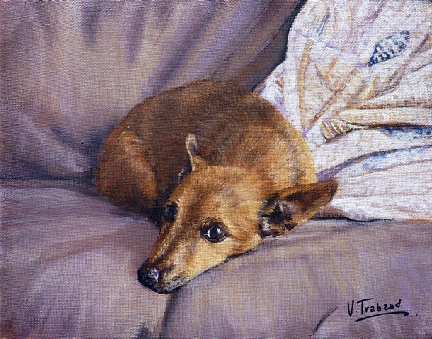 Peinture Chien russkiy toy couch sur le canap - Acrylique d'aprs photo - Virginie Trabaud Artiste Peintre