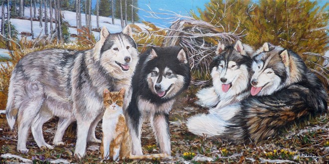 Peinture Chiens Malamute de l Alaska et chat paysage hiver - Acrylique sur toile d aprs photos - virginie trabaud