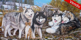 peinture chien Alaskan malamute et chat - Cliquez sur l image pour voir la fiche dtaille et le tarif de l oeuvre