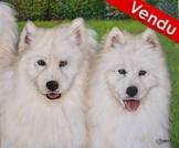 Peinture portrait de chiens samoyde d'aprs photo - Virginie Trabaud Artiste Peintre
