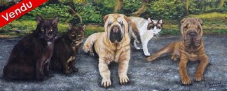 Peinture Portraits de Chiens sharpei et chat - Virginie Trabaud Artiste Peintre Animalier