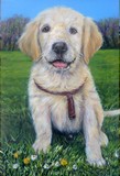 Peinture de chiot golden retriever en relief - Cliquez sur l'image pour voir la fiche dtaille