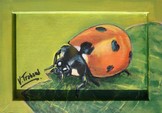 peinture coccinelle sur une feuille - acrylique - Cliquez sur l image pour voir la fiche dtaille et le tarif de l oeuvre