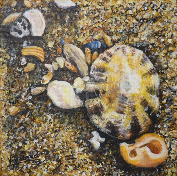 Peinture Coquillages et Bernique sur le sable - Acrylique Virginie TRABAUD Artiste Peintre