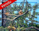 peinture cureuil dans un arbre - Cliquez sur l image pour voir la fiche dtaille et consulter le tarif de l oeuvre