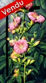 peinture Fleurs et Coccinelles - Cliquez sur l image pour voir la fiche dtaille et consulter le tarif de l oeuvre