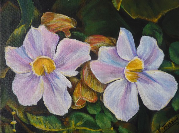Peinture de Fleurs blanches Thunbergia Laurifolia - Virginie Trabaud Artiste Peintre