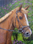 portrait cheval roux - peinture acrylique - Cliquez sur l'image pour voir la fiche dtaille