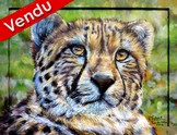 peinture femelle lopard parc des flins - Virginie Trabaud artiste peintre Animalier 