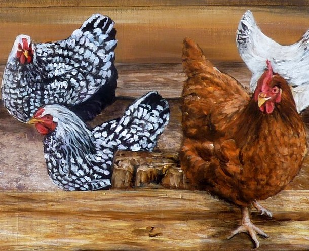 Décoration de Jardin - Piquet de Poulet - Acrylique - Imperméable