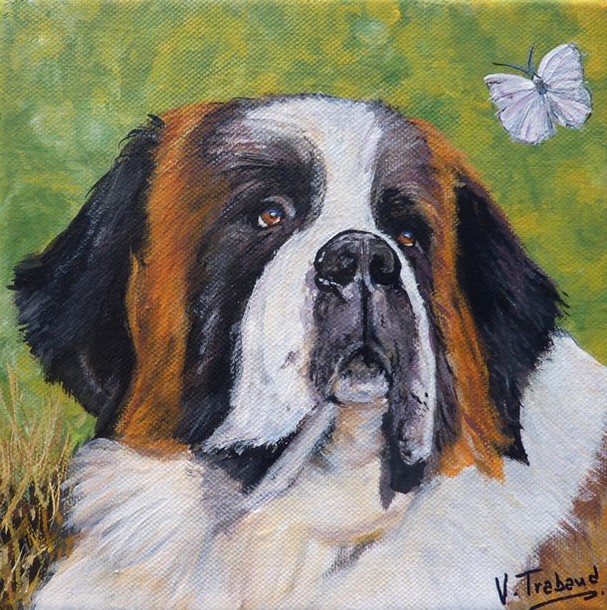 Peinture Chien Saint Bernard et papillon blanc - acrylique sur toile - virginie trabaud artiste peintre