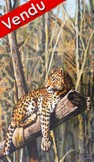 peinture Lopard - Virginie Trabaud Artiste Peintre Animalier