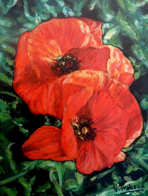 Peinture de Coquelicots - Virginie Trabaud Artiste Peintre