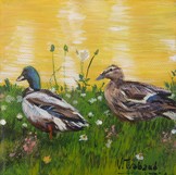 peinture acrylique miniature - Canard et cane colvert - Cliquez sur l image pour voir la fiche dtaille et consulter le tarif de l oeuvre