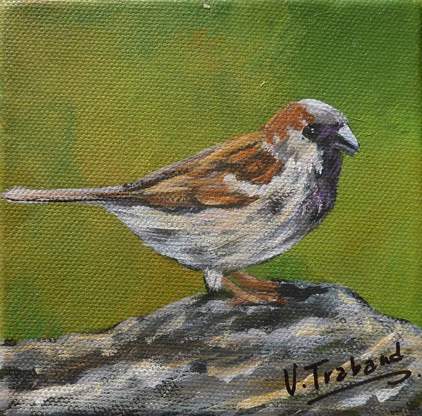 Peinture miniature le Moineau - acrylique - Virginie TRABAUD Artiste Peintre