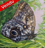 Peinture acrylique miniature - Papillon - Cliquez sur l image pour voir la fiche dtaille et consulter le tarif de l oeuvre