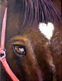 Peinture Oeil de Cheval chocolat - acrylique - Cliquez sur l'image pour voir la fiche et l'agrandissement