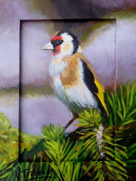 Peinture Chardonneret lgant oiseau - acrylique Virginie TRABAUD Artiste Peintre Copyright