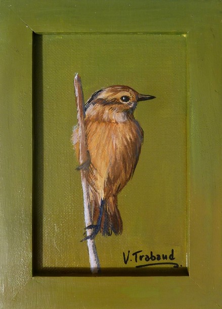 Peinture Tarier ptre femelle oiseau - acrylique Virginie TRABAUD Artiste Peintre Copyright