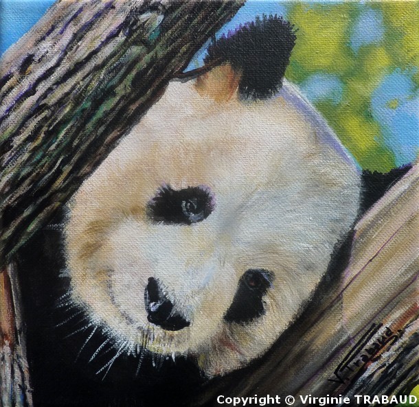 Peinture acrylique Panda portrait- Virginie TRABAUD Artiste Peintre