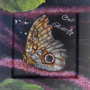 peinture papillon hibou sur bois - Cliquez sur l image pour voir la fiche d�taill�e et consulter le tarif de l oeuvre