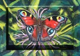 peinture papillon Paon du jour - acrylique - Cliquez sur l image pour voir la fiche dtaille et le tarif de l oeuvre