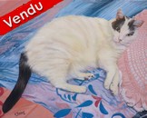 Peinture Chat couch sur un coussin - Cliquez sur l'image pour voir la fiche et l'agrandissement