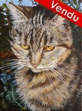 Peinture portrait de chat europen assis d'aprs photo - Virginie Trabaud Artiste Peintre