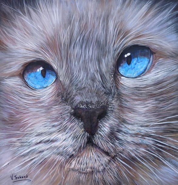 Peinture Chat sacr de birmanie aux yeux bleus - Acrylique et mortier en relief Virginie TRABAUD Artiste peintre