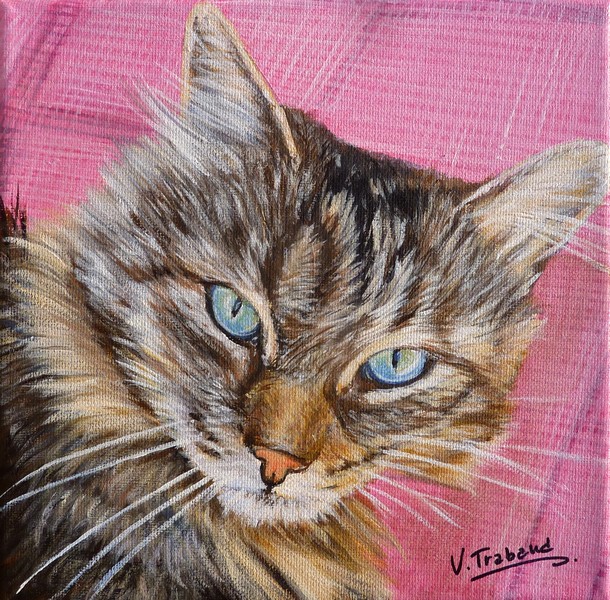 Peinture Portrait de chat maine coon couch d'aprs photo - acrylique - Virginie TRABAUD