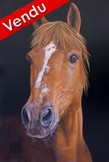 Portrait de cheval brun peinture acyrlique - Cliquez sur l image pour voir la fiche dtaille dtaille et consulter le tarif de l oeuvre