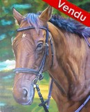 Portrait de cheval brun et nature -  peinture acyrlique - Cliquez sur l image pour voir la fiche dtaille dtaille et consulter le tarif de l oeuvre